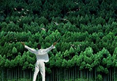 开启创造模式 地板企业以“创新”赢市场