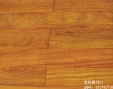 龙凤檀6801