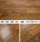 红橡365
