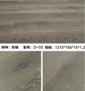 D-03