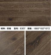 SD-6307