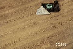 SC919